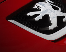 Logo & Emblems